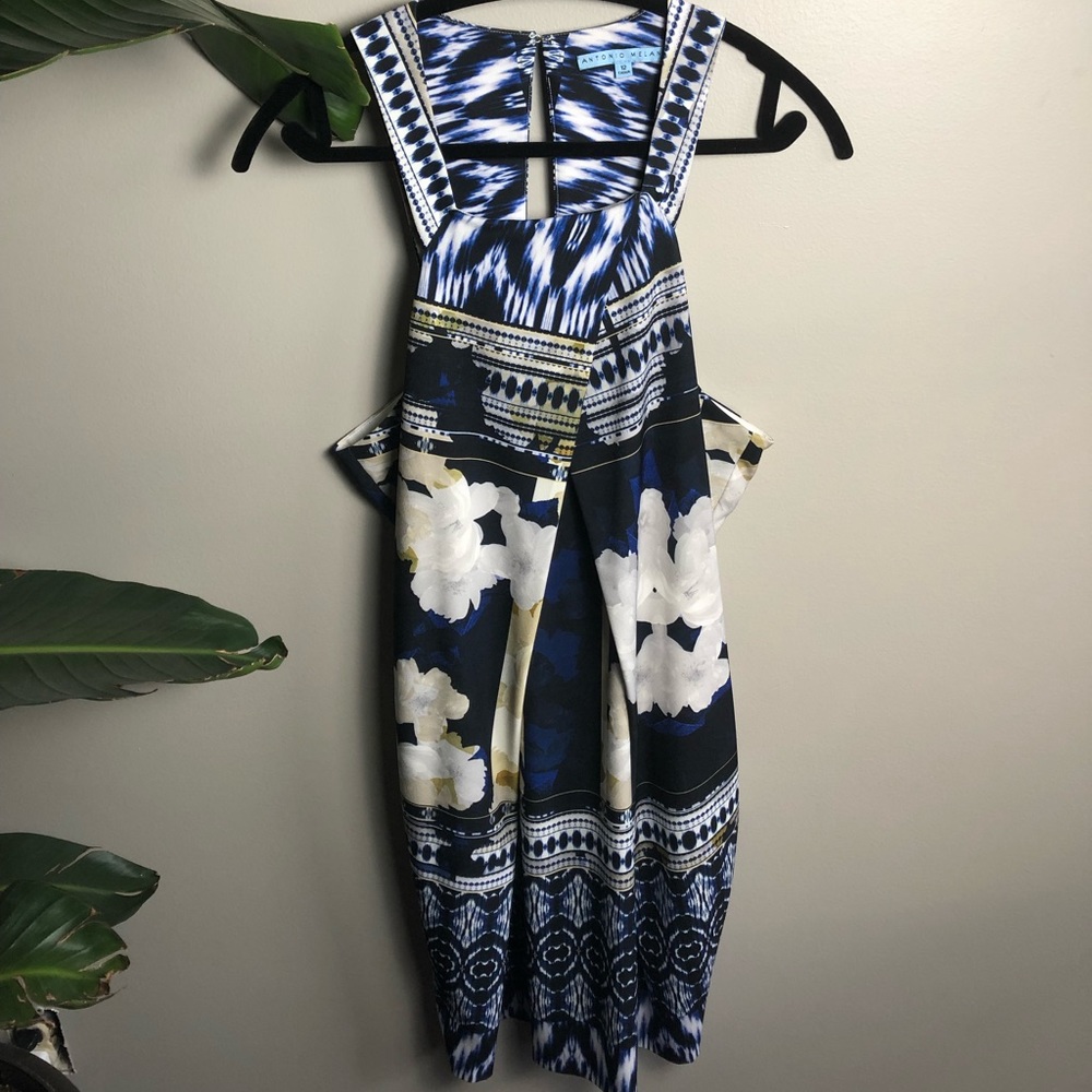 Beautiful Antonio Melani dress